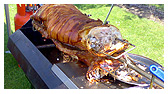 Hog Roast